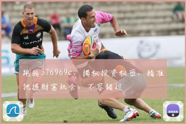 跑狗376969c，揭秘投资秘密，精准把握财富机会，不容错过